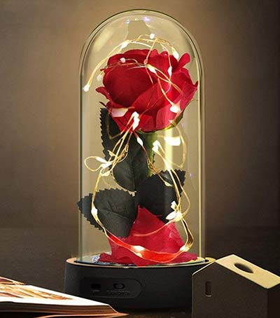 Ewige Rose in beleuchteter Glaskuppel